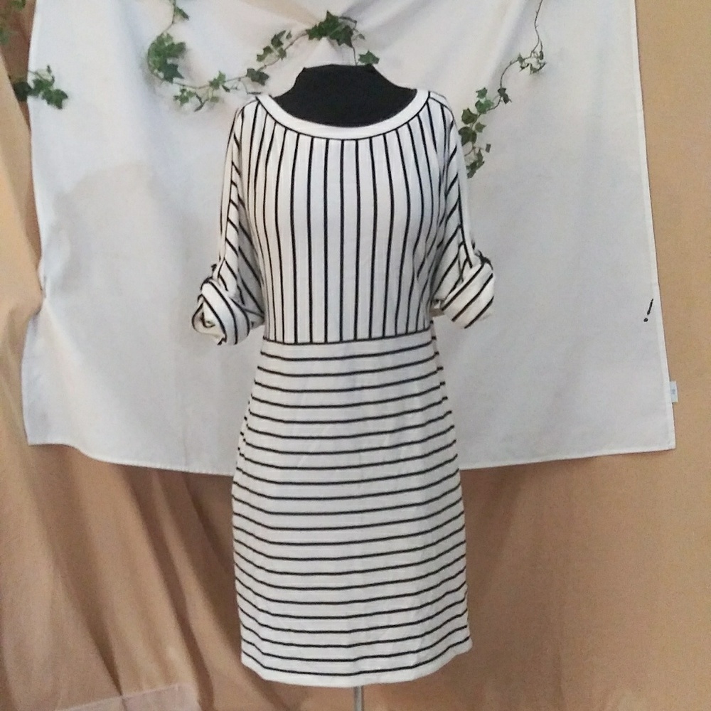 Max Studio Weekend pockets sweater dress